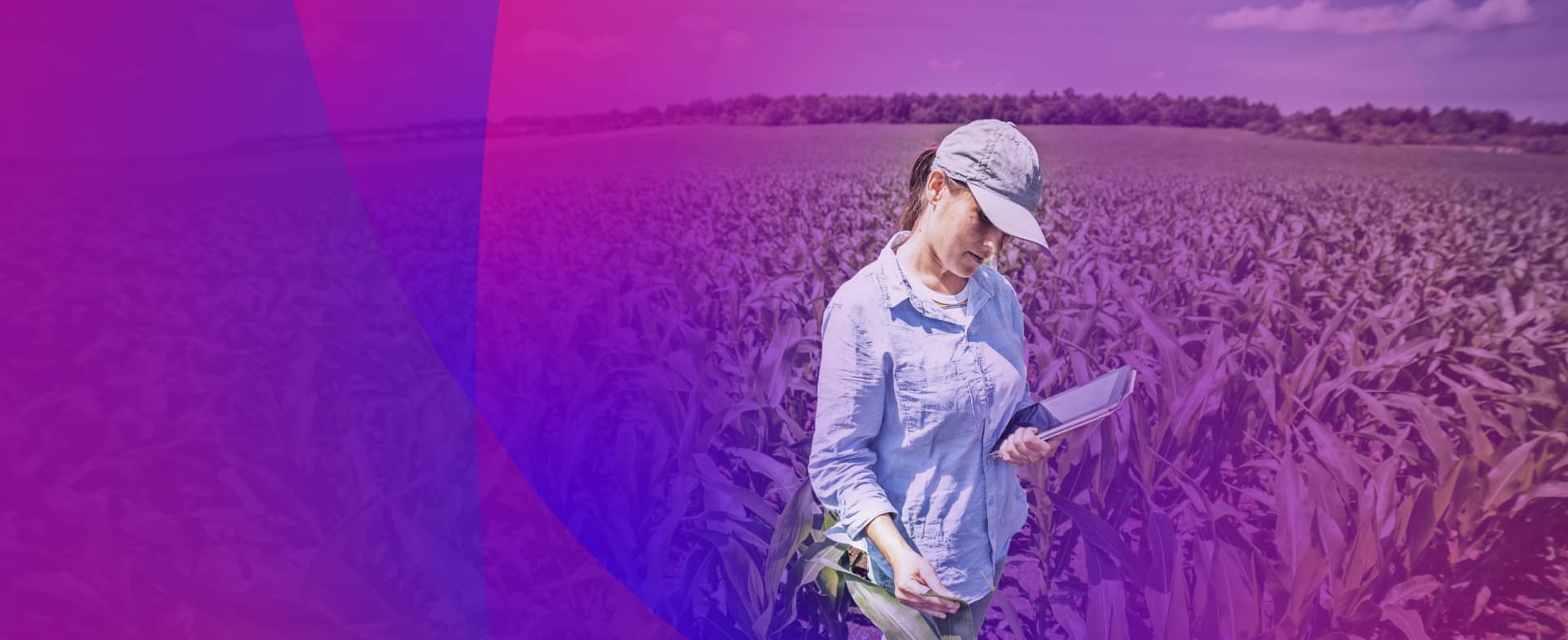 Environmental, social & governance index banner image