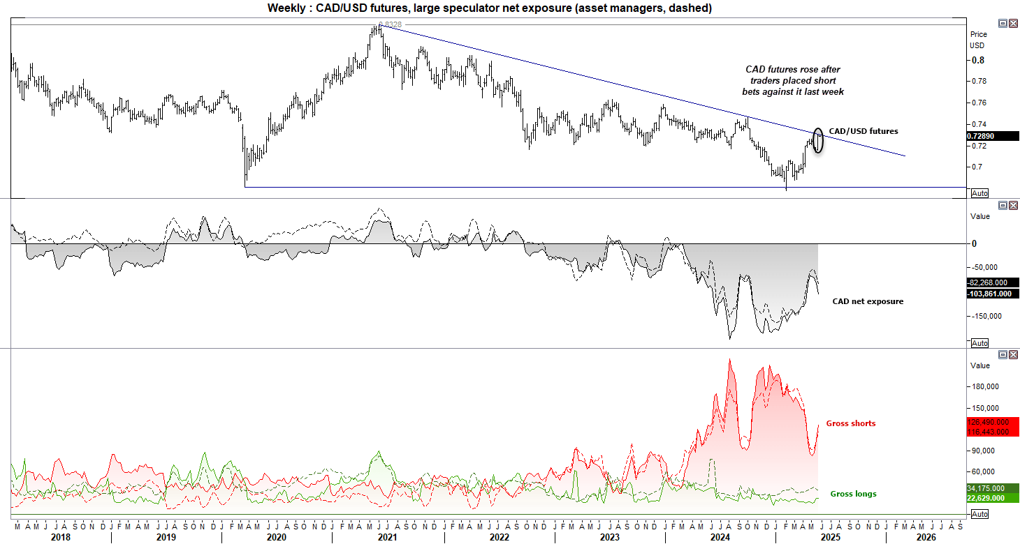 The latest commitment of traders report (COT) shows that traders increased net-short exposure against the Canadian dollar, yet CAD futures went on to rise into the weekend.