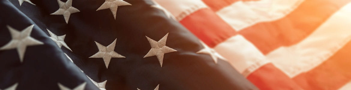 USA1 USA flag