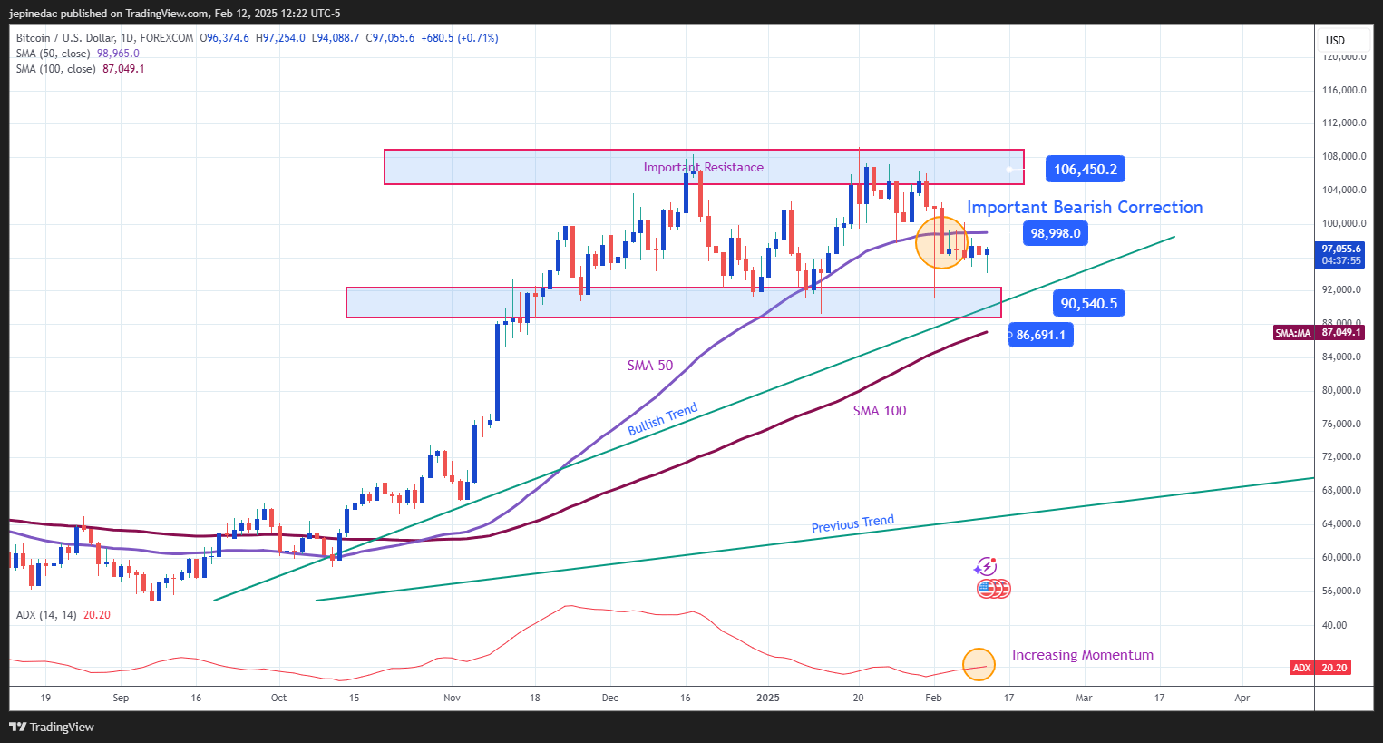 BTCUSD_2025-02-12_12-22-05